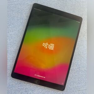 iPad Pro (256 GB) (Cellular & WiFi)